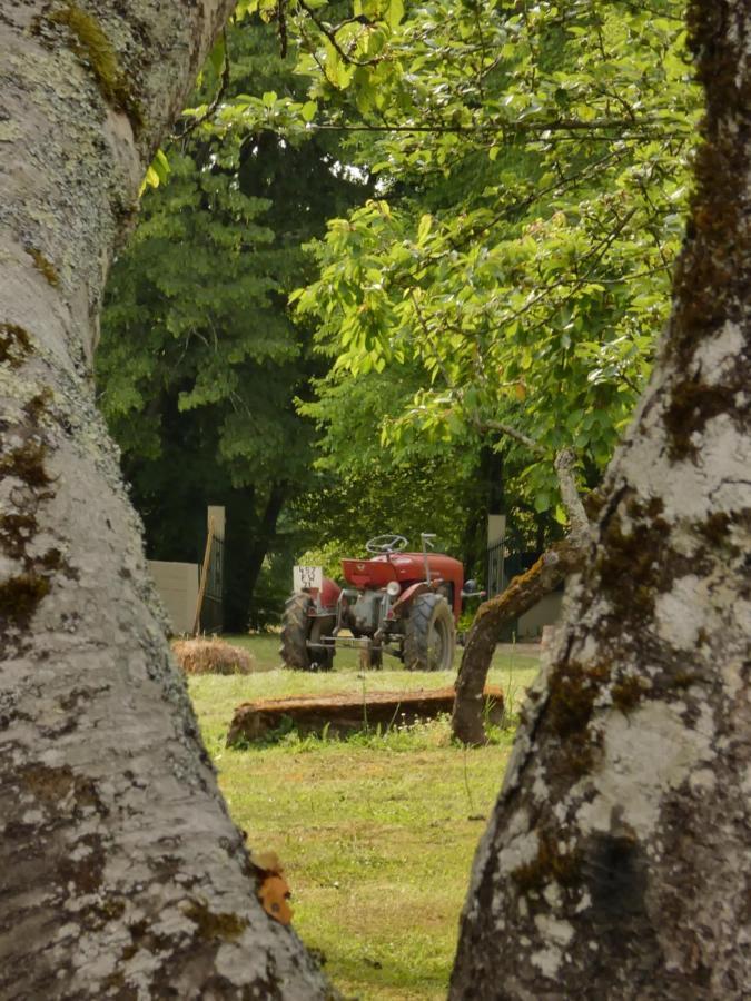 Вилла Domaine Du Venet Montcony Экстерьер фото
